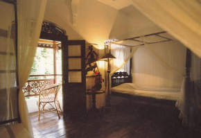 The Dream House